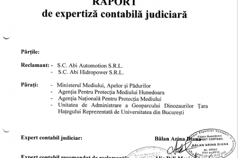 RAPORT EXPERTIZA CONTABILA JUDICIARA DOSAR 2802/97/2017