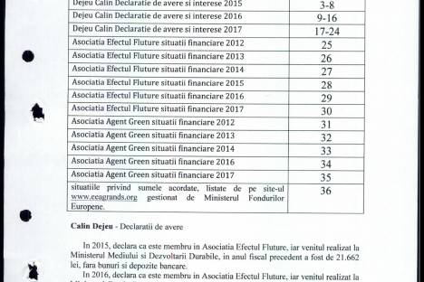 Situatie Venituri Efectul Fluture + Agent Green