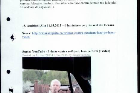 Hartuire Alin Andrioni asupra Primarului comunei Densus