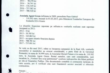 Declaratii Avere Efectul Fluture + Agent Green